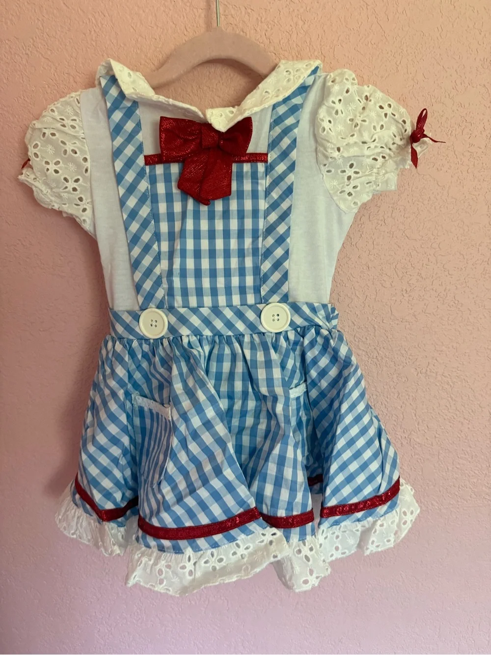 Dorothy Costume - The Wizard of Oz - Picture 3 of 4